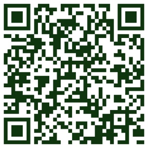 Aramidová tkanina 110P